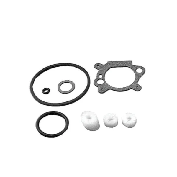 Dihtunzi karburatora CPL. - B&S 498261.490937